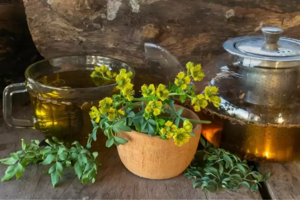Qu� significa que la planta de ruda florezca en tu casa, seg�n el Feng Shui