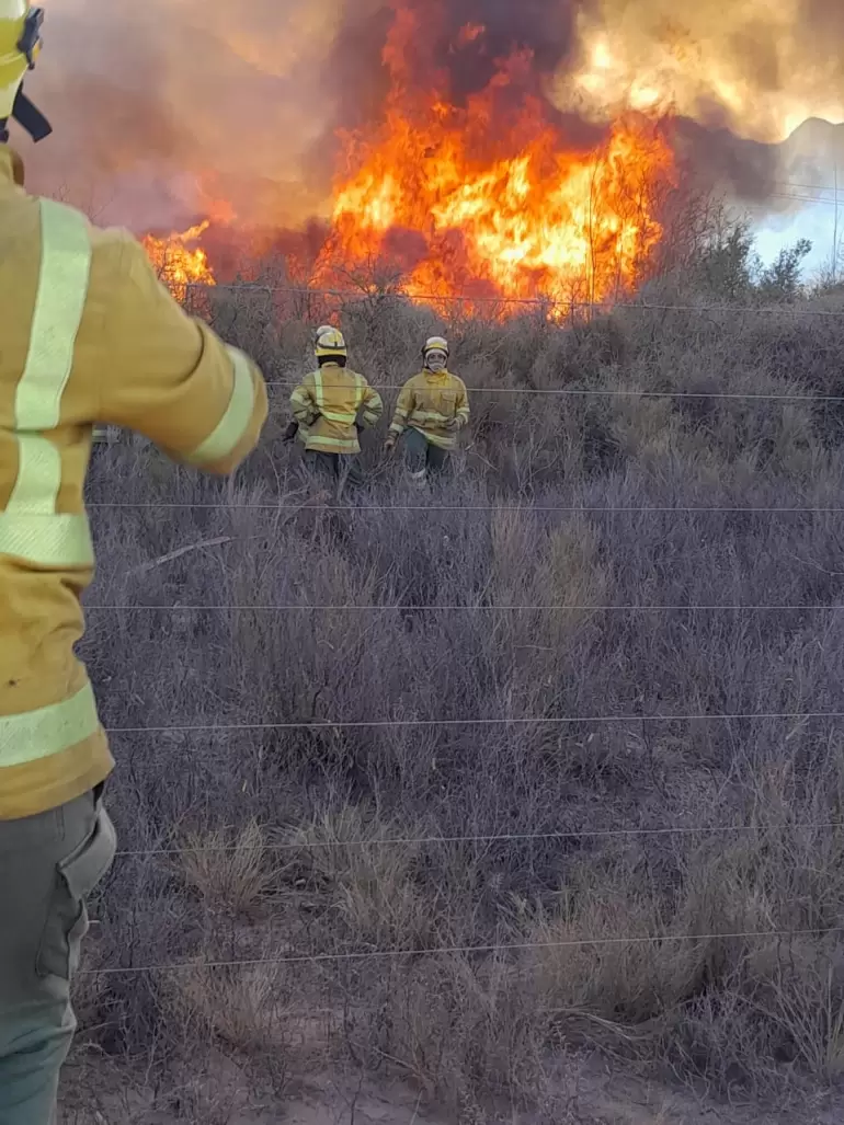 incendios forestales tinogasta