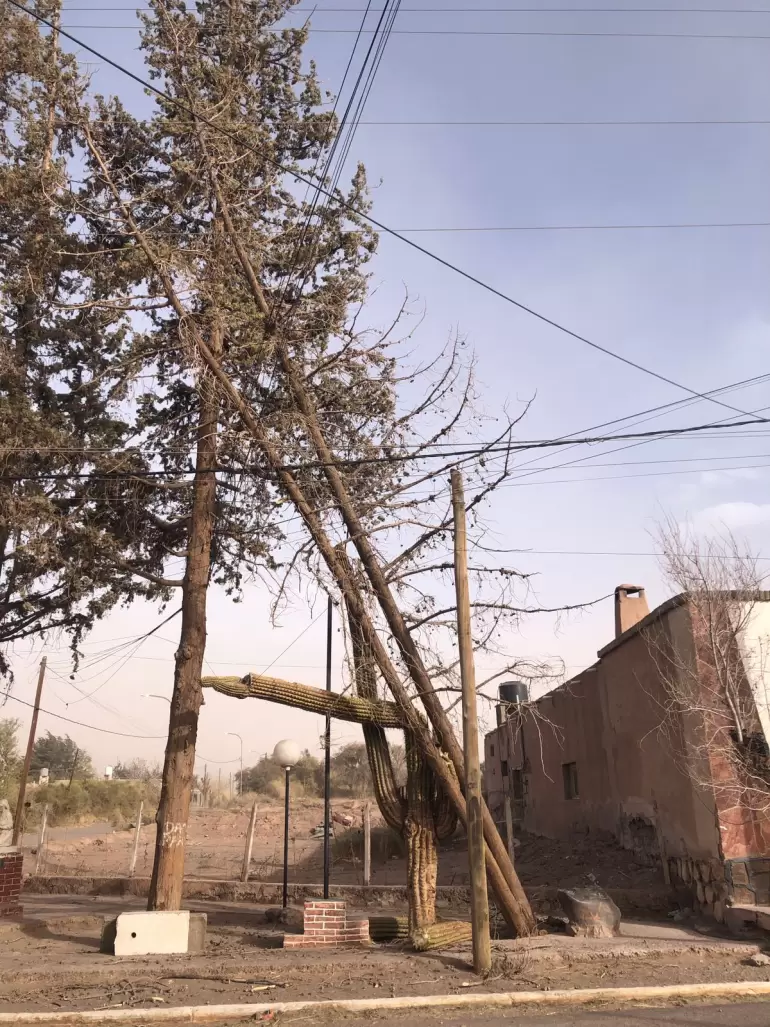 viento zonda en el oeste