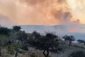 Cmo puede afectar la salud el humo de los incendios forestales?: esto son los tips para cuidarse