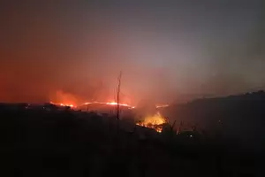Incendio forestal en Las Juntas: dos viviendas fueron consumidas por el fuego y hay ocho heridos