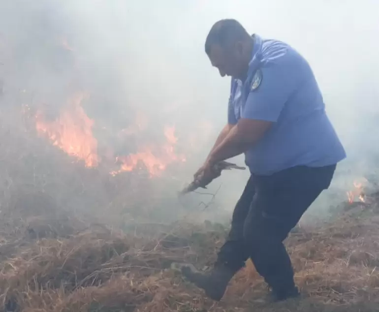 incendio las canas 3