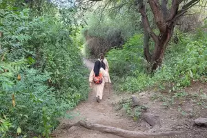 Las Monjas Dominicas invitan a encuentro vocacional virtual