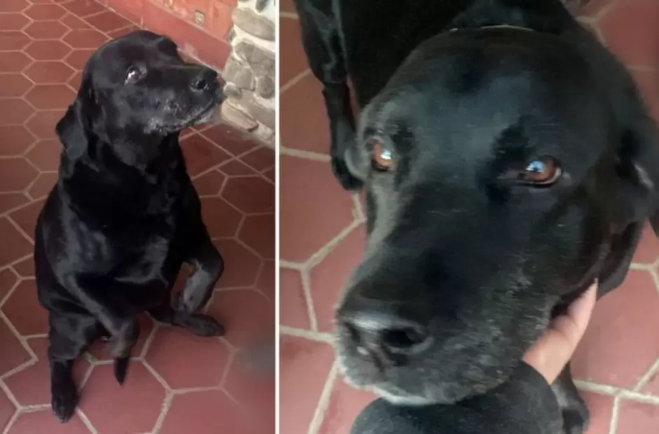 Otto, el de los mandados