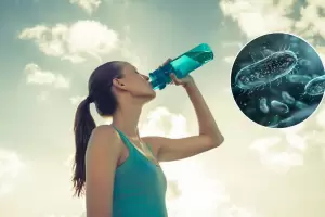 Paso a Paso: Cmo limpiar tu botella de agua para que no se contamine con bacterias?