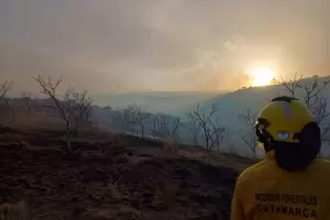 Preocupante: En un solo fin de semana se incendiaron 700 hectreas