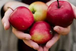 Cmo hacer unos deliciosos y rpidos bocaditos de manzana, ideal para acompaar los mates