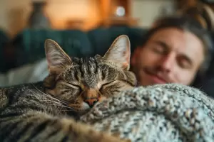 Cada cunto hay que cortarle las uas a los gatos, segn un veterinario