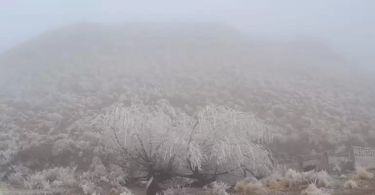 nieve minas capillitas 2