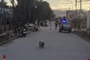 Investigan la muerte de un menor de edad en Los Altos
