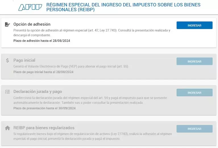 El Gobierno reglament el Rgimen Especial de Ingreso de Bienes Personales (REIBP) (Foto: captura AFIP)