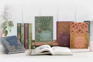 Cmo conseguir la edicin Orgullo y prejuicio de Jane Auster que cuesta $2.990?