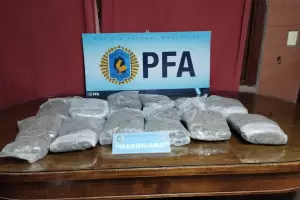 Desbaratan una banda narco que traficaba psicotrpicos y estupefacientes