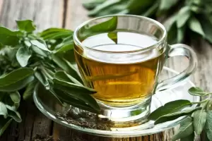 Los increbles beneficios del t de Salvia: Paso a paso, cmo preparar la infusin que ayuda a controlar el azcar