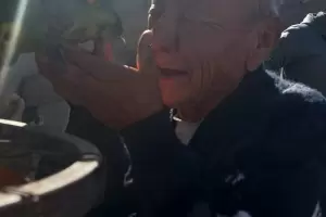 Apareci Pedro: el loro que haba sido robado el fin de semana