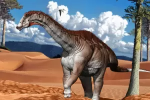 El rey de la Patagonia: encuentran los restos de un dinosaurio con los huesos llenos de aire