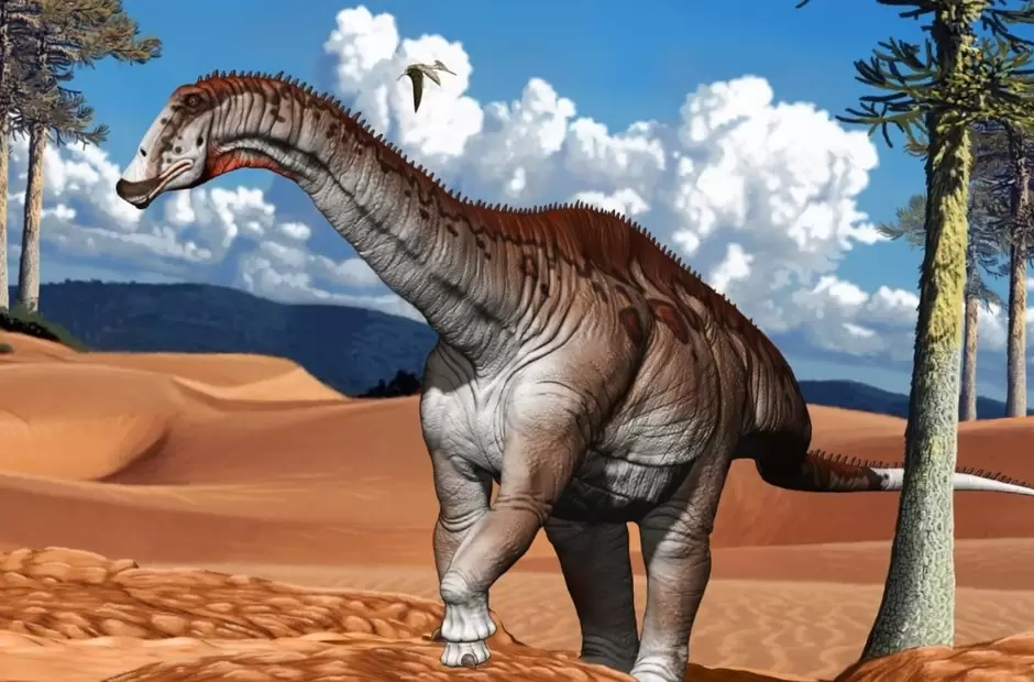 Campananeyen fragilissimus