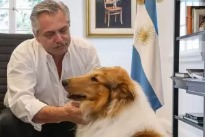 Milei le ofreci a Alberto Fernndez adoptar a su perro Dylan
