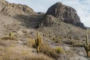El Gobierno busca poner en valor el sitio arqueolgico de Rincn Chico