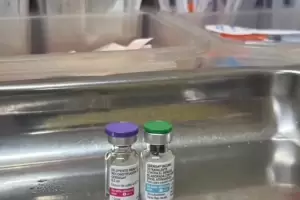 Salud ampla la inscripcin para la vacuna del dengue: ahora es para personas de 50 a 59 aos