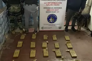 La Direccin Drogas Peligrosas secuestr 21 kilos de Marihuana y detuvo a un dealer