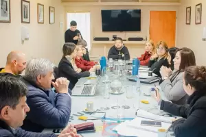 Adhesin al RIGI: El Bloque de la UCR emiti despacho en minora en una semana clave