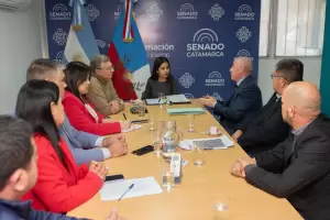 Bracamonte se present en la comisn de Asuntos Constitucionales del Senado
