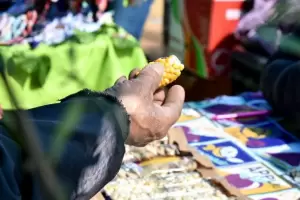 Llega una nueva edicin de la Feria Provincial de Semillas Nativas y Criollas