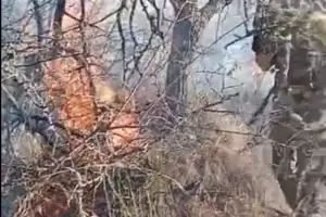 Incendio en El Gracin: sigue activo y ya consumi cinco hectreas