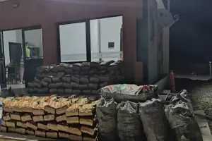 Secuestran ms de 800 kilos de carbn en La Paz
