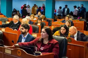 Carrizo contra los decretos del Ejecutivo sobre OSEP, AGAP y la tarifa elctrica