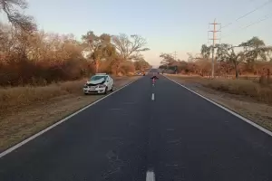 Animal suelto provoc� un accidente en Ruta n� 64