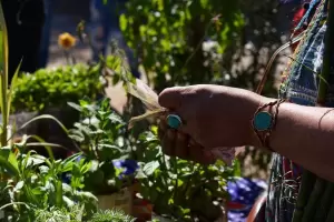 Llega una nueva edicin de la Feria Provincial de Semillas Nativas y Criollas