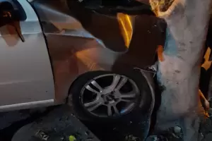 Se distrajo y termin� chocando contra un �rbol