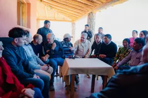 Fibra de vicua: Catamarca fortalece el camino a la exportacin