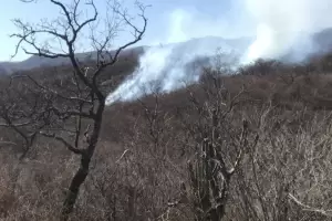 Con un avin hidrante, brigadistas combaten incendios forestales