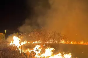 Incendio de pastizales: bomberos sofocaron el siniestro