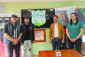 Proponen una "Ruta del olivo catamarqueo"