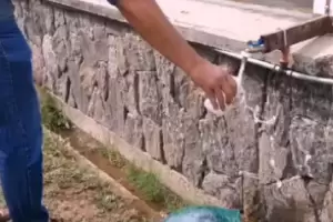 El ENRE descart el mal estado del agua en F.M.E