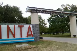 INTA reform sus procedimientos disciplinarios para agilizar sanciones y cesantas