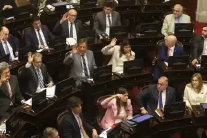 El Senado debate los fondos para la SIDE