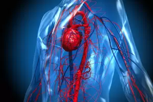 Alimentos que limpian los vasos sanguneos y previenen enfermedades