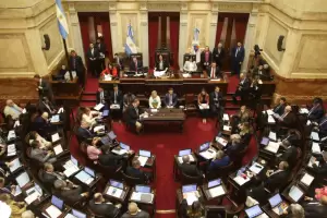 El Senado aprob con cambios la Boleta nica de Papel