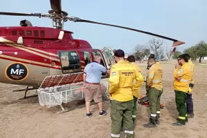 Capacitacin clave para brigadistas de Incendios Forestales