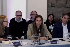 Salud particip del COFESA analizando el plan del dengue 2024-2025