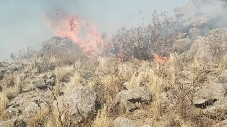 incendios