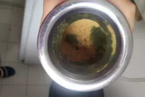 El mejor truco para eliminar los hongos del mate