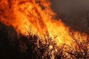 Vecinos juntan agua para apagar los incendios en Crdoba