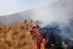 Bomberos trabajan intensamente para contener los incendios en la provincia