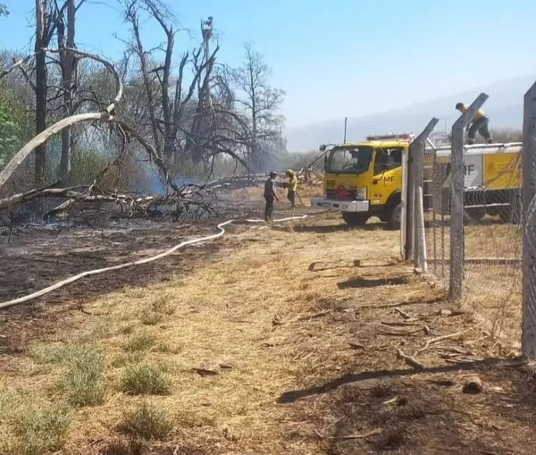 incendios-catamarca